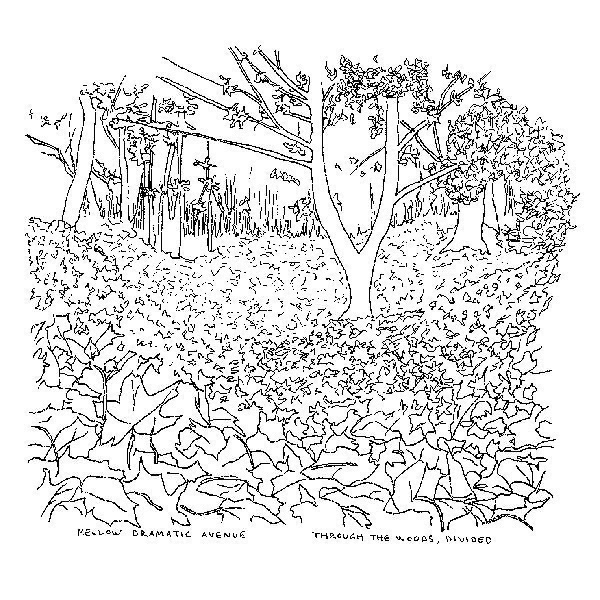 Through the Woods, Divided sleeve