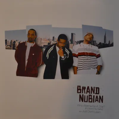 Who Wanna Be a Star? (It's Brand Nu Baby!) - EP - Brand Nubian