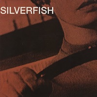 Silverfish