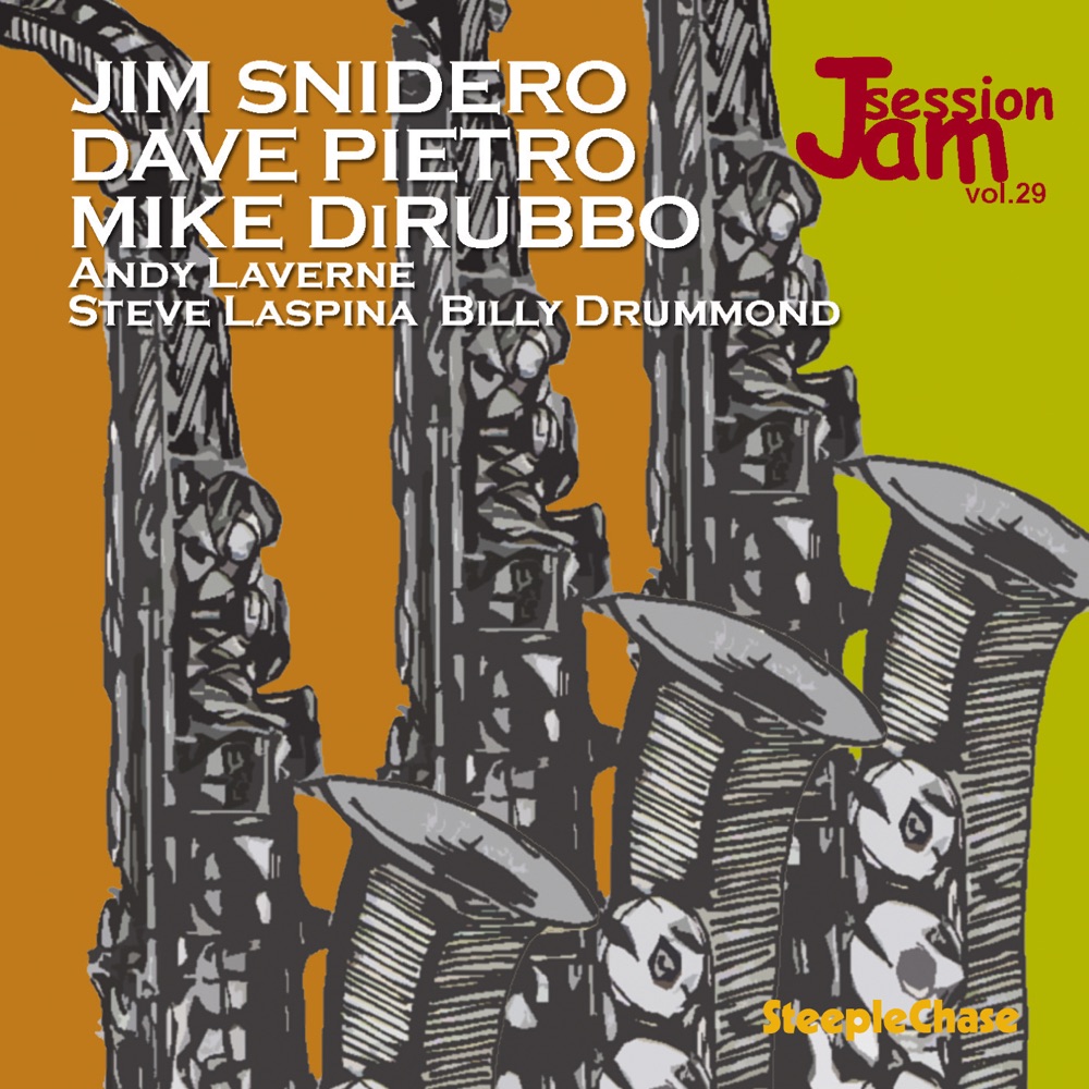Обложка альбома «Jam Session, Vol. 29» — Jim Snidero, Dave Pietro & Mike DiRubbo