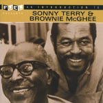 Brownie McGhee & Sonny Terry - Down By the Riverside