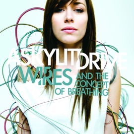 All It Takes for Your Dreams to Come True A Skylit Drive