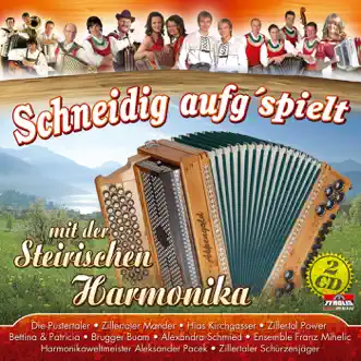 Schneidig aufg'spielt mit der steirischen Harmonika by Various Artists album reviews, ratings, credits