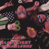 blacklight chameleons - Evil Arms