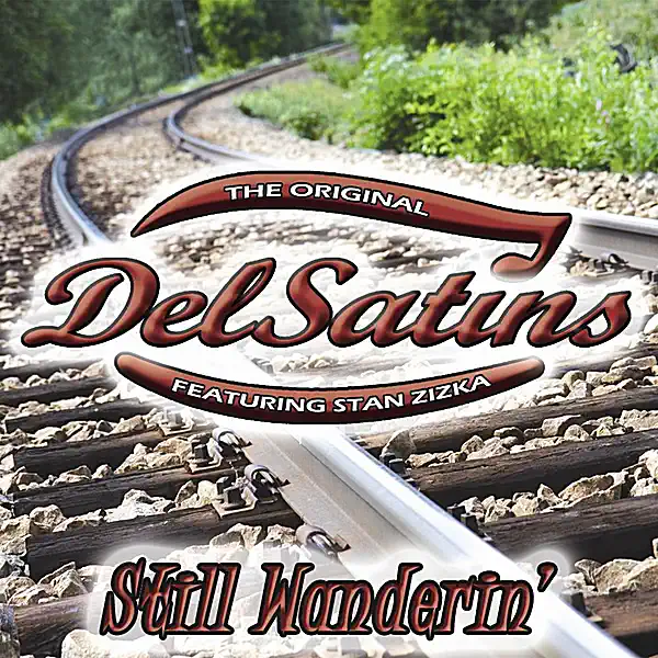 Does My Love Stand a Chance — The Del Satins
