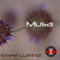 Musa (Funny Tangle Remix) - Ernest Luminor lyrics