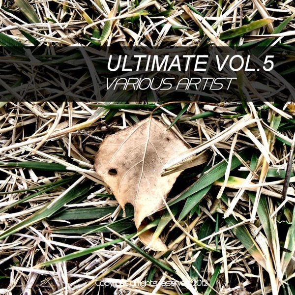 Ultimate, Vol. 5