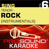 The Reason (Karaoke Instrumental Track) [In the Style of Hoobastank]