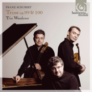Piano Trio No. 2, Op. 100, D. 929: II. Andante con Moto - Trio Wanderer