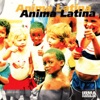 Anima Latina