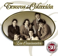 Tesoros de Colección: Los Caminantes - Los Caminantes