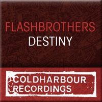 Destiny - Single - Flash Brothers