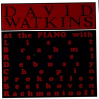 At the Piano - David Watkins