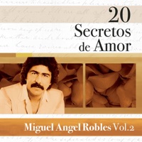 20 Secretos de Amor: Miguel Angel Robles, Vol. 2 - Miguel Angel Robles