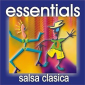 Salsa Classics Essentials artwork