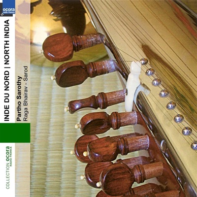 Inde du Nord - North India: Sarod