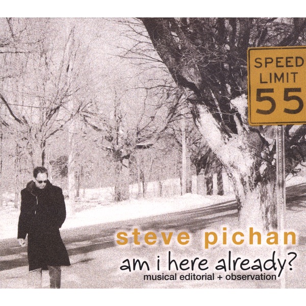 Steve Pichan featuring Sharon Tse and John Finan - Open Door