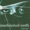Mechanical Moth - Fluegelschlag