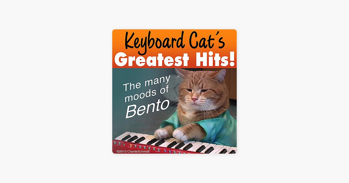 ‎Keyboard Cat After Dentist - Song by Keyboard Cat - Apple Music