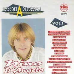 Raccolta di successi, Vol. 1 (The Best of Nino D'Angelo Collection) - Nino D'Angelo