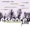 Essence Of Praise & Worship Vol. 2