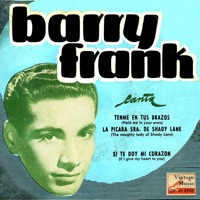 Vintage Pop No. 120 - EP: The Naughty Lady Of Shady Lane - Barry Frank