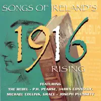 Foggy Dew