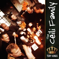 The Ceili Family - Fall Face First