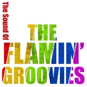 Flamin' Groovies - Shake Some Action