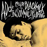 Insomniac Dreaming — A.Dd+