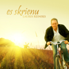 Lauris Reiniks - Es Skrienu (Es skrienu remikss (LV versija)) artwork