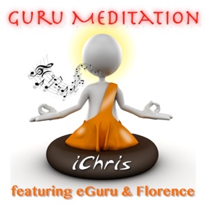 Guru Meditation (Radio Single) - Single