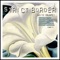 White Trumpet (Carlo Lio Remix) - Strict Border lyrics