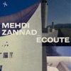 Mehdi Zannad