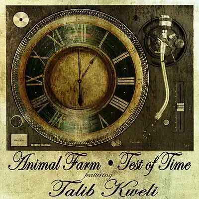 Test of Time - Single - Talib Kweli