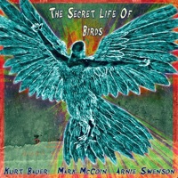 The Secret Life of Birds - Kurt Bauer & Mark McCoin