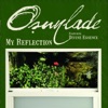 My Reflection (Remixes)