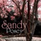 I Will Follow Him - Sandy Posey lyrics