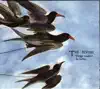 The Reason - We're So Beyond This