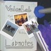 VoiceLab - Here With Me