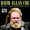 20 All-Time Greatest Hits (Re-Recorded Versions)