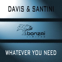 Whatever You Need - Single - Davis & Santini