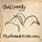 The Fidra Birds - Chris Connelly lyrics