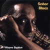 Wayne Bartlett - Senor Blues