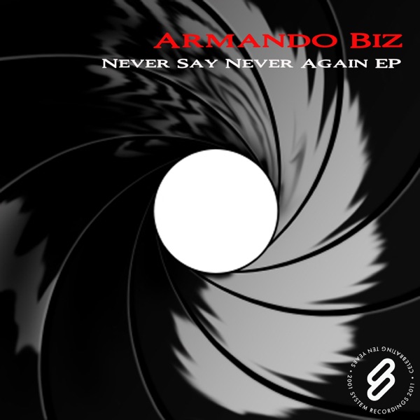 Never Say Never Again - Single