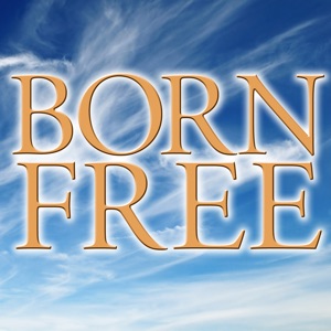 Born Free - Single