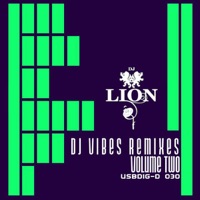 DJ Vibes - EP - DJ Lion