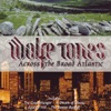 The Wolfe Tones - The Rambling Irishman