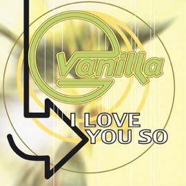 I Love You So (Radio Mix) Vanilla