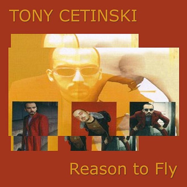 Reason to Fly - Single artwork